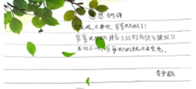 1575464952.png